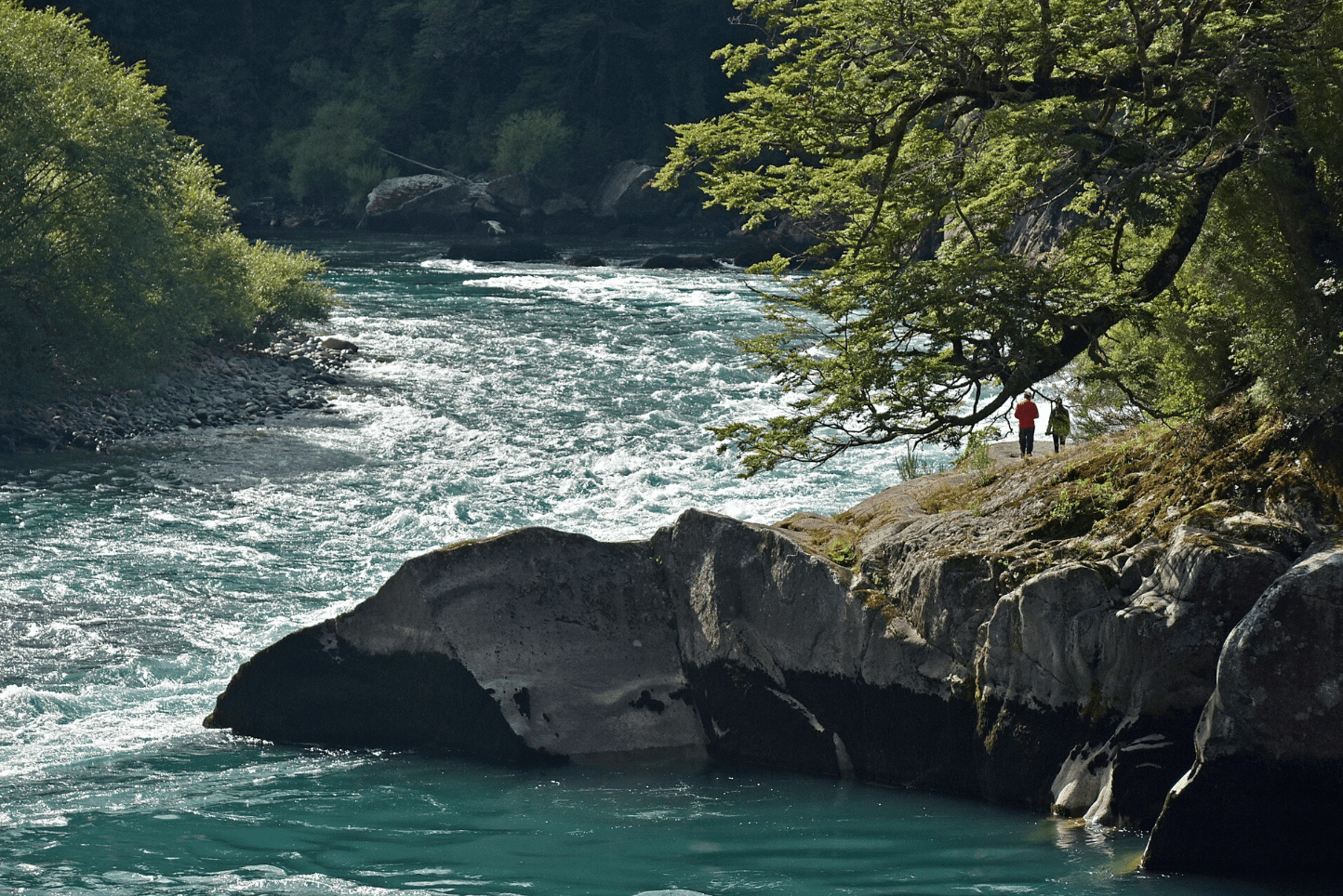 Screenshot at Nov 13 19-24-11